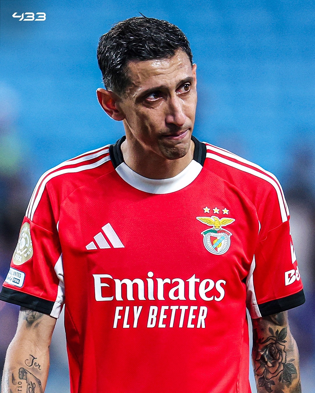 包含意甲倒计时，本菲卡今晚单刀错失，细节引发关注，赛场秩序良好，身体对抗强度拉满的词条